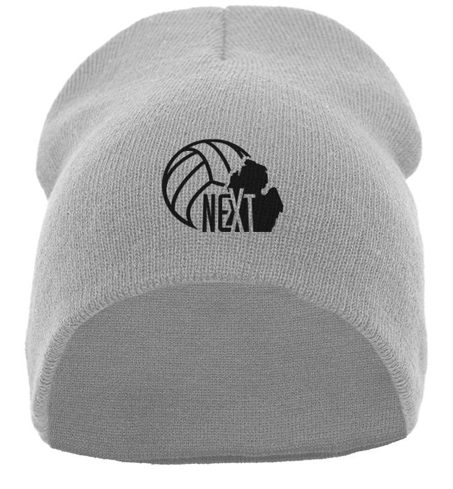 Beanie (silver) Beanie (silver)